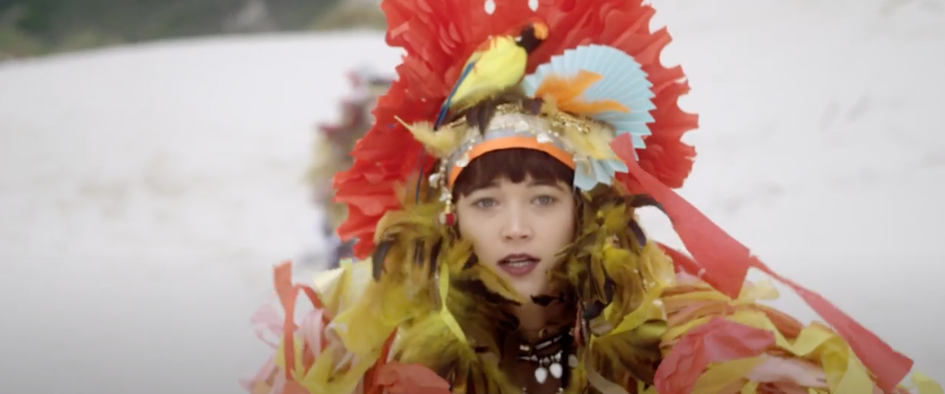 Offline Editor Heema Daya