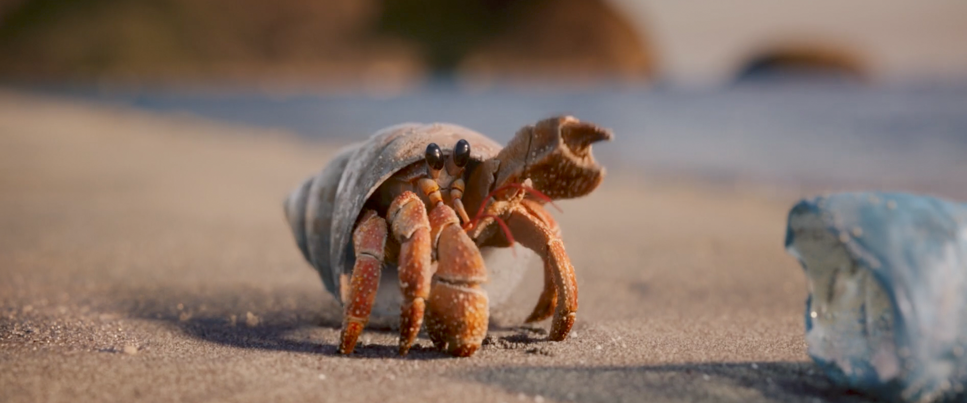 Offline Editor Jamie Taylor